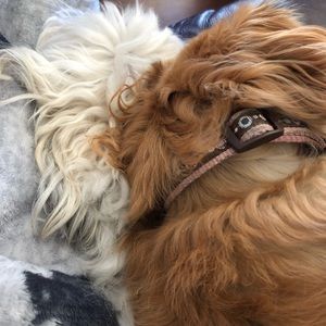 Meet your Posher, Paula